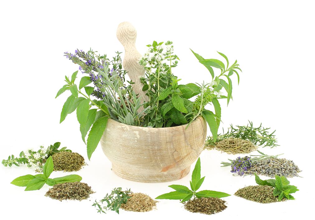 产品成分中的植物提取物